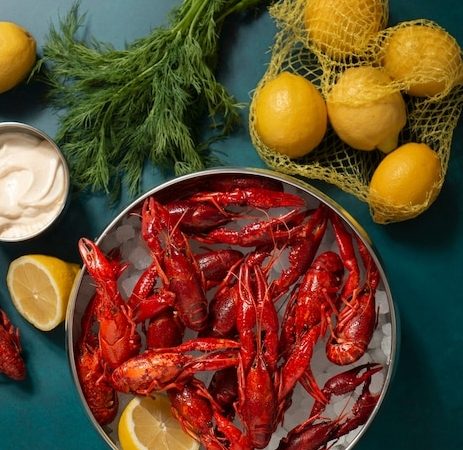 Вареные раки: как выбрать и где купить лучшую продукцию?